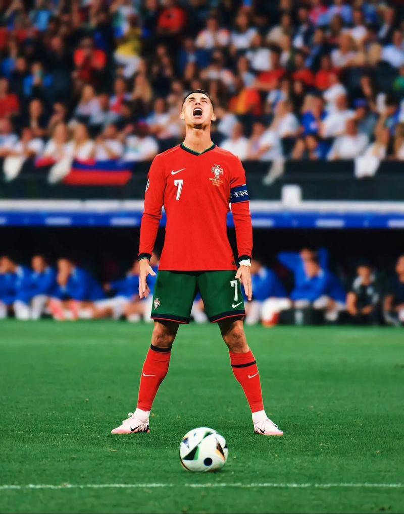 入了新鮮的 入了新鮮的