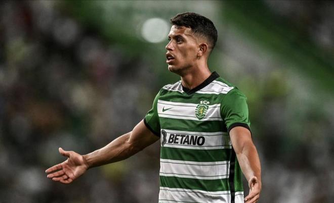 爱与努力的 爱与努力的