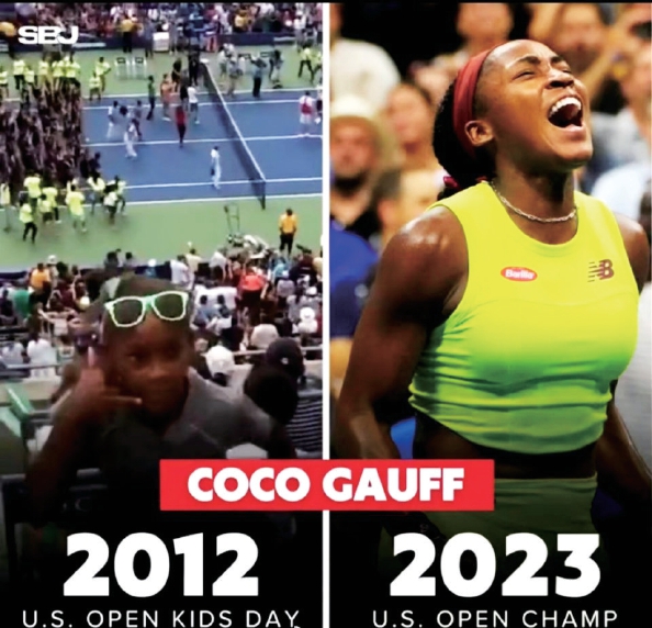 定性不足 定性不足